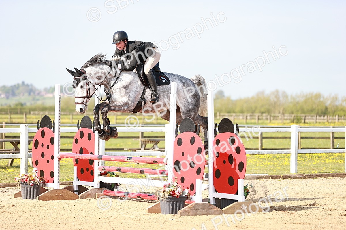  - Class 21 - Senior British Novice - 90cm