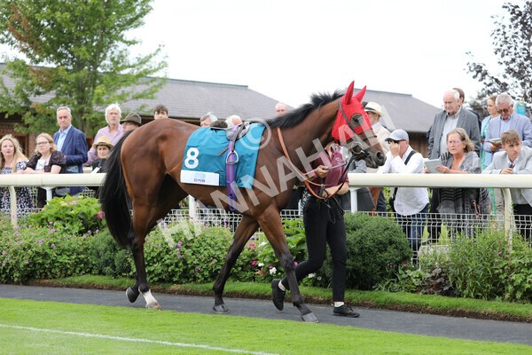 yr18082022r6-8 - Race 6 4.45 pm OR8wellness ebfstallions Nursery Handicap