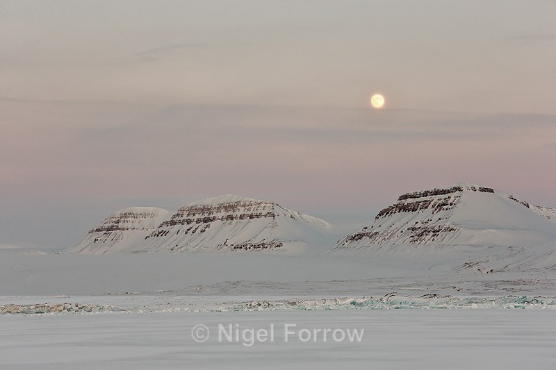 Tempelfjorden by moonlight, Svalbard, Norway - Svalbard, Norway