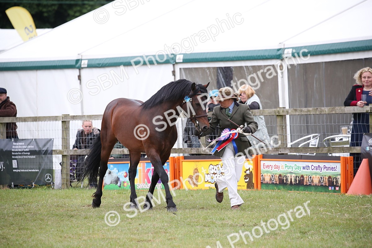 SBM_09765 - Ch 50 - Price Family Supreme In Hand