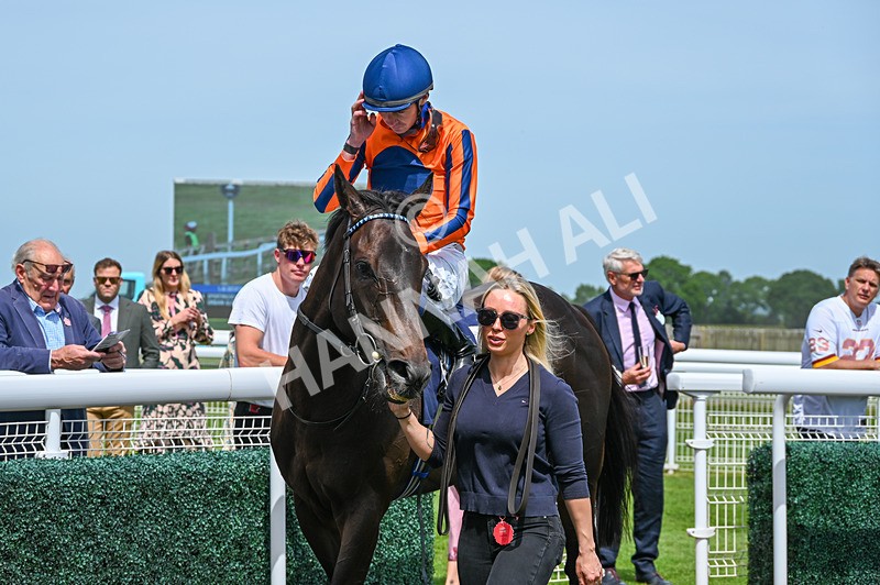 300526-Race 1-Sportingsilvermine-4215 - Race 1 13.45pm Napoleons Casino Hull Handicap