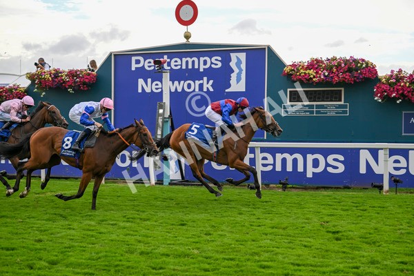 220824-Race 4-Content-7415 - Race 4 3.35pm Pertemps Network Yorkshire Oaks