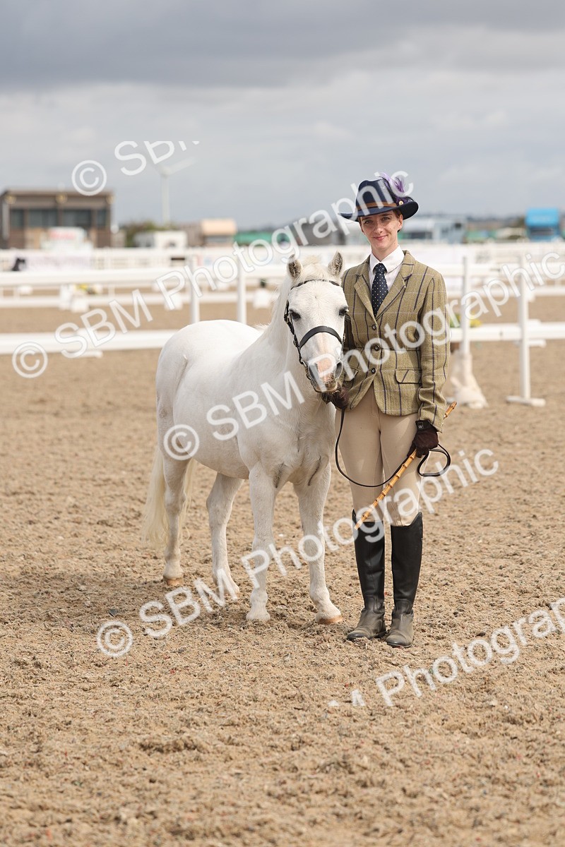 SBM_04559 - Class 19 - Horse/Pony Judge would most like to take home