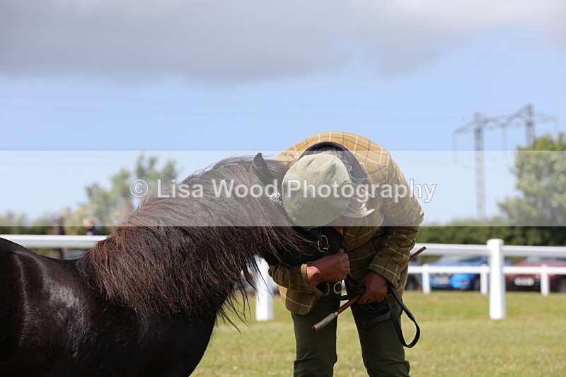 1X9A4852 - Class 35: Veteran In Hand