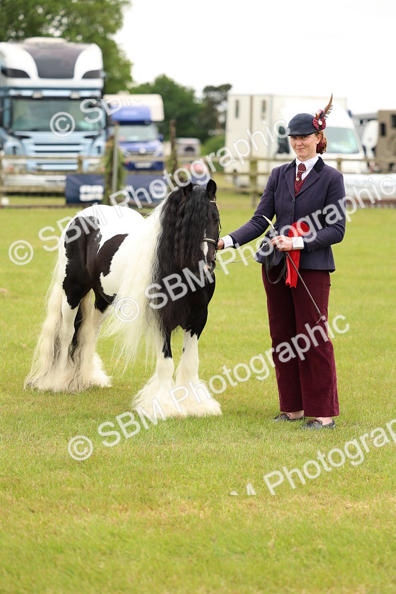 SBM_06307 - Class 39-41 TGCA In Hand and Ridden