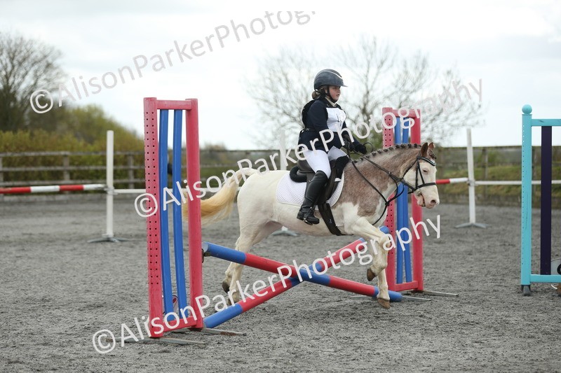 20260412-0674 - Show Jumping