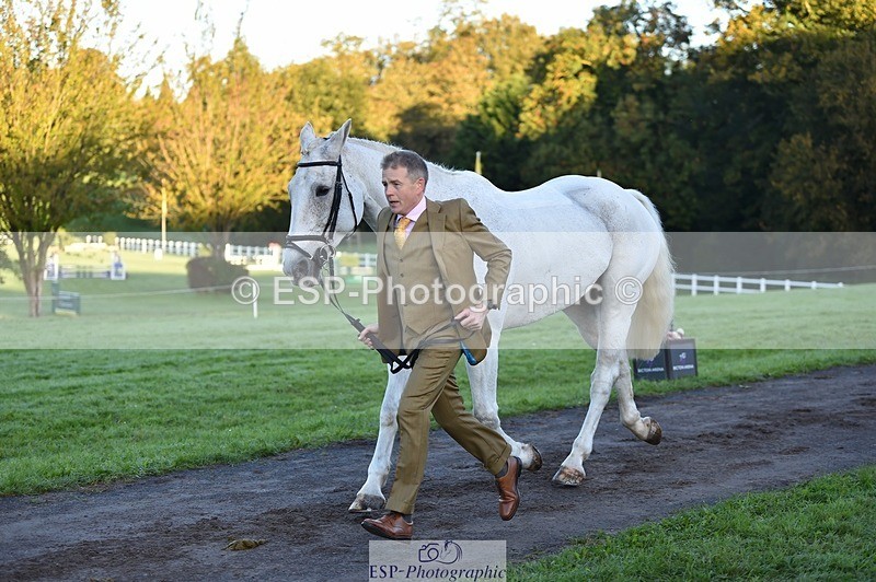 231022-084216-21302 - 608-SIR.HAROLD-William.Cursham-TrotUp+SJ