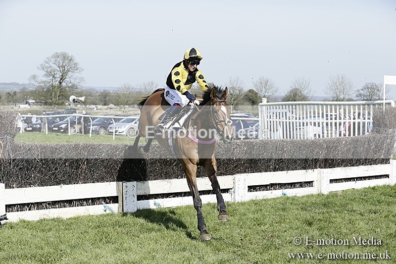 PtP 260317 135 - Mendip Farmers Point-to-Point Ston Easton 26/03/17