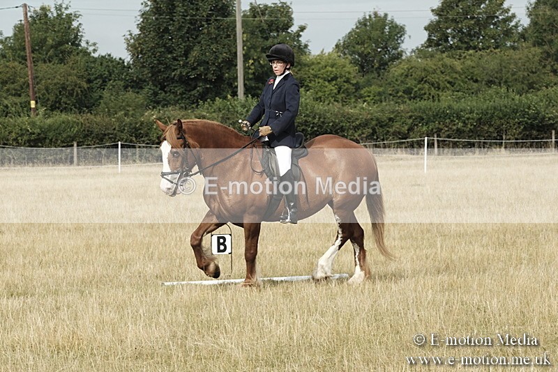 _PJP5613 - Dressage Classes BVRC Show 2018