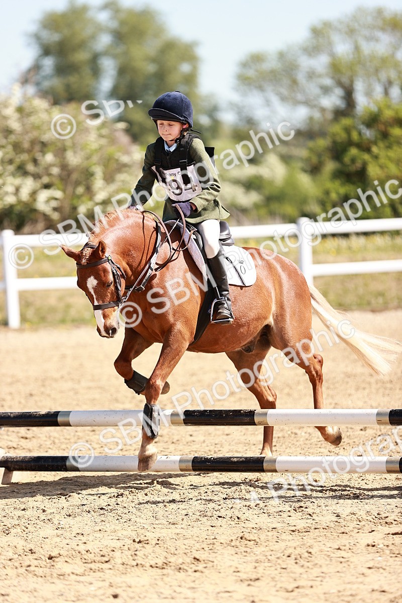 SBM_006925 - Class 2 - 50cm