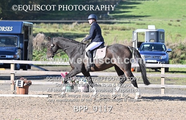 BPP_9117 - SHORT ARENA