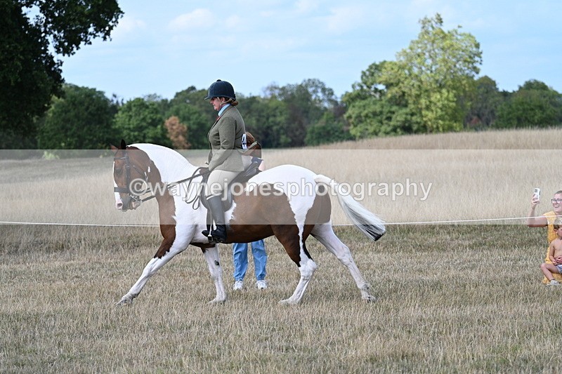 WJ7_6980 - Class 14 Ridden Coloured