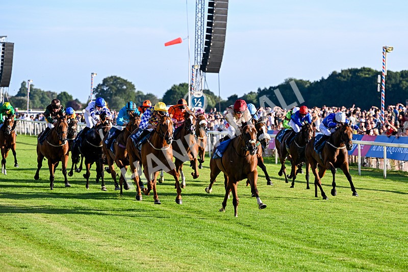 240726-Race 4-Rajaking-5328 - Race 4 19.15pm Tomahawk Handicap
