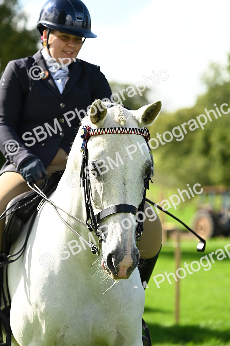 SBM_02122 - S2 - TSR Ridden Horse Showing