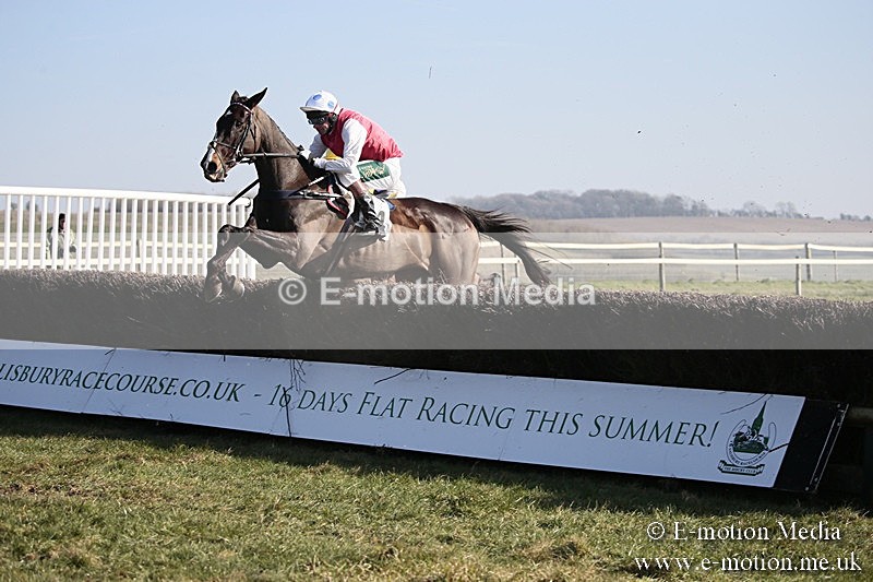 PtP 240218 252 - Vine & Craven Hunt Point-to-Point Barbury racecourse 24/02/18