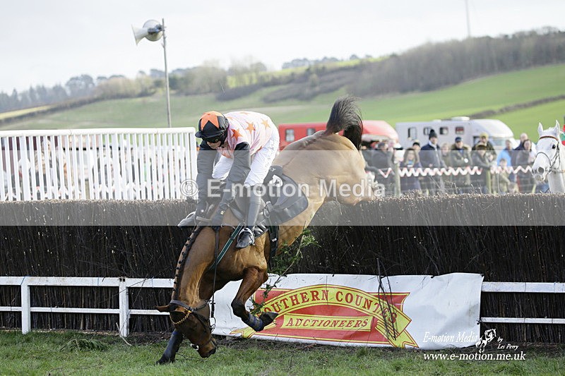 PtP 300122 515 - South Dorset Hunt - Point-to-Point Races 30/01/2022