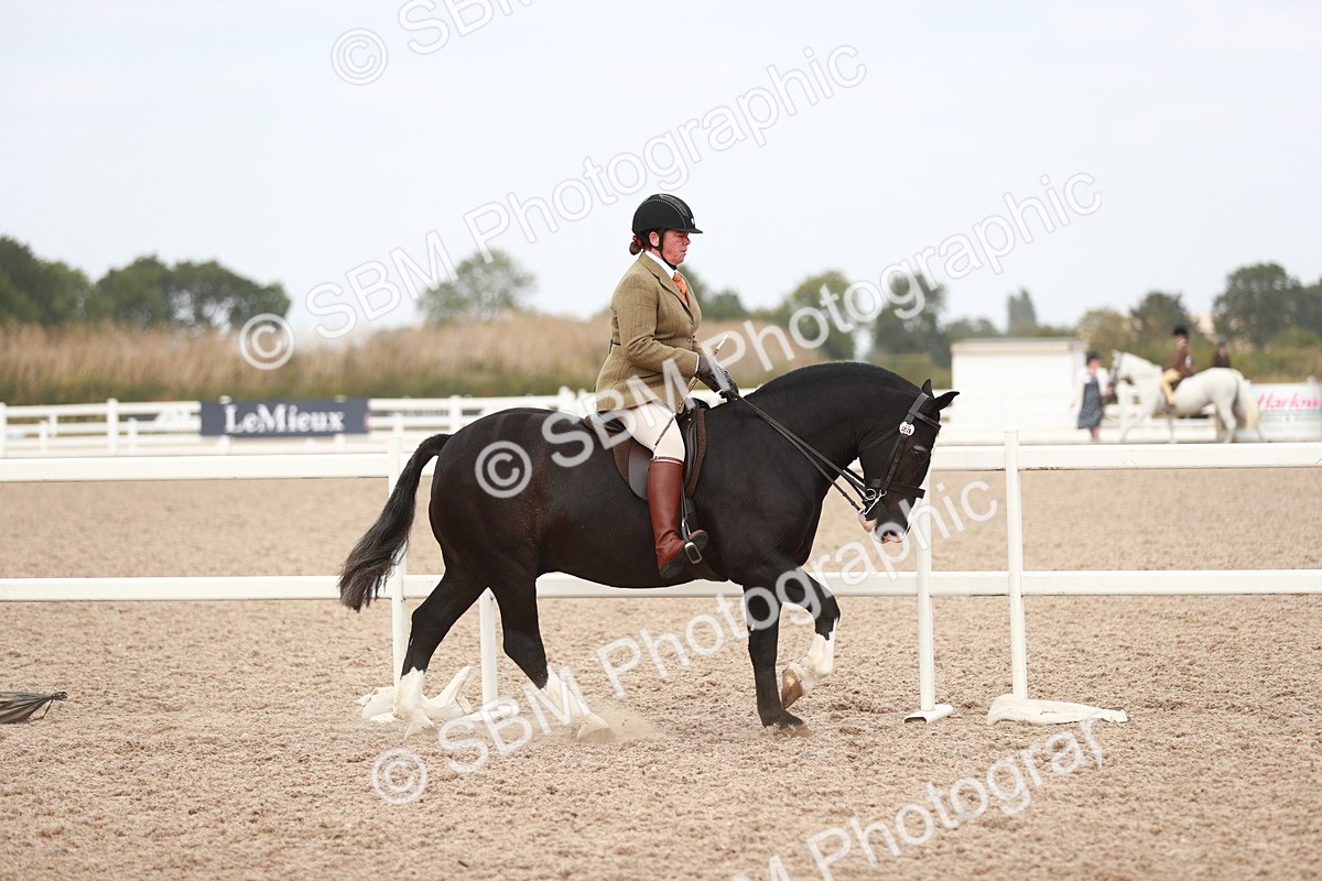 SBM_16669 - Class 214 Ridden Cob