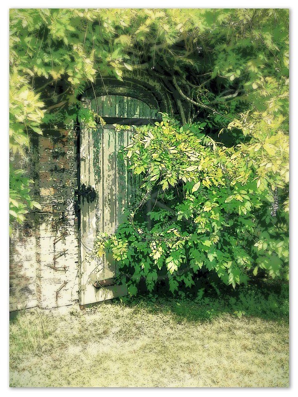 Secret Garden - Small Format
