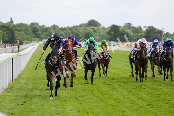 yr11062022r5-22 - Race 5 3.40pm The Pavers Foundation Catherine Memorial Sprint Stakes