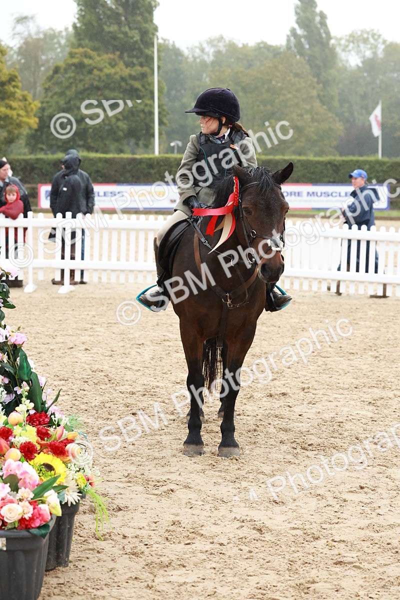 SBM_73619 - Supreme Championship Junior Pony 60cm & 65cm