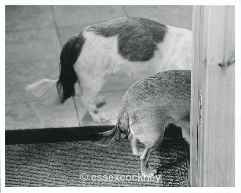  - Odds and Sods(others)