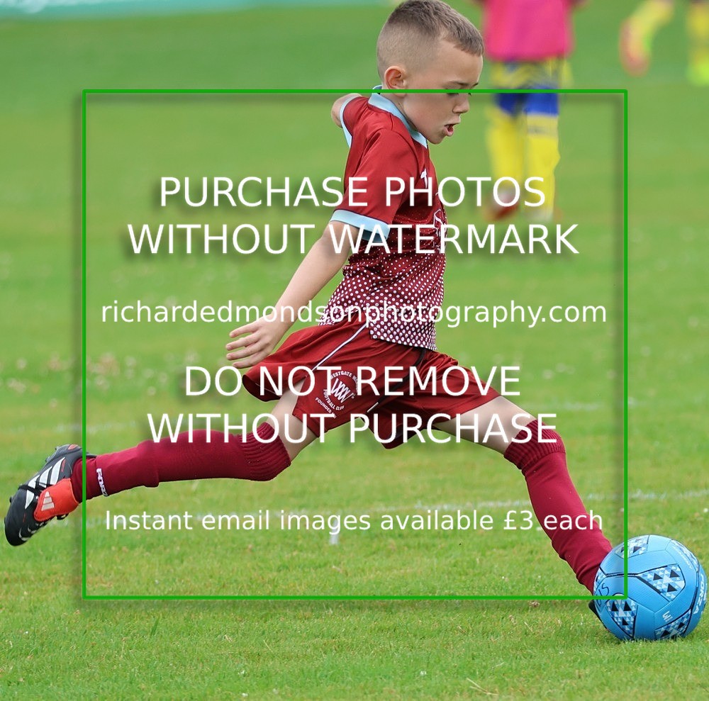 533A1811 - Westgate Wanderers Under 8's