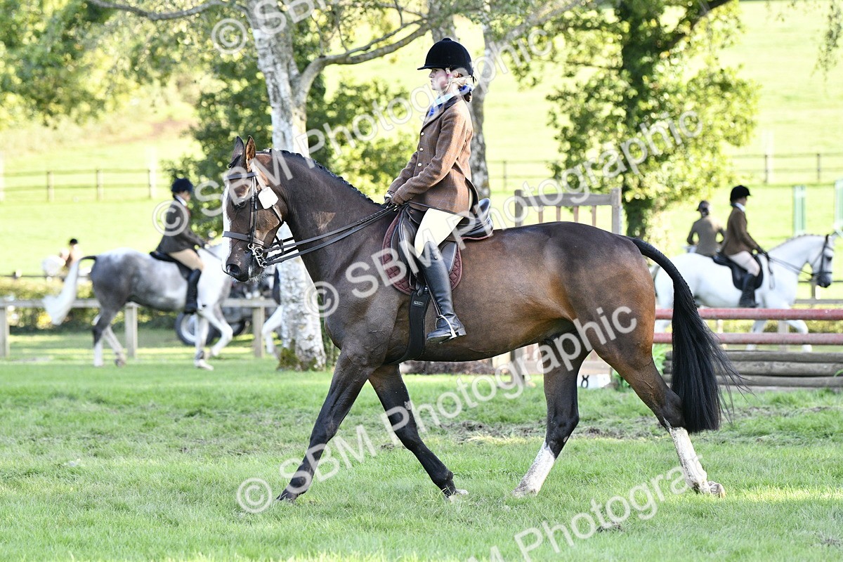 SBM_53508 - S14 - Riding Club Horse
