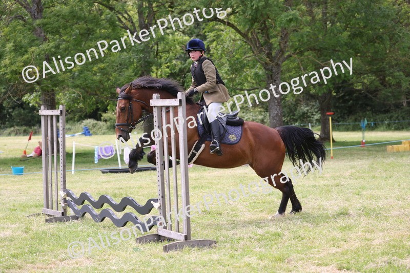 20260614-4079 - Class 24 - Mini and Major Pairs Jumping