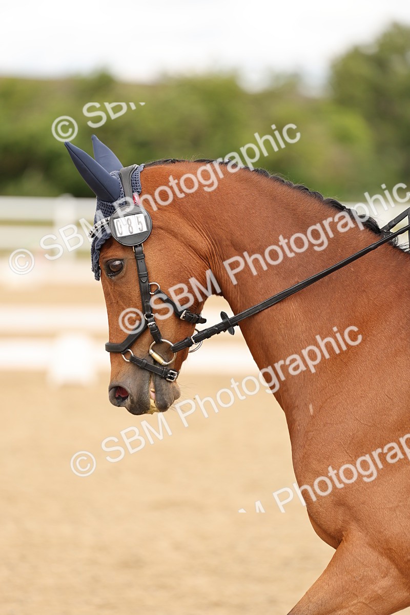 SBM_003424 - Class 6a - Novice 5 - 13.17-14.21