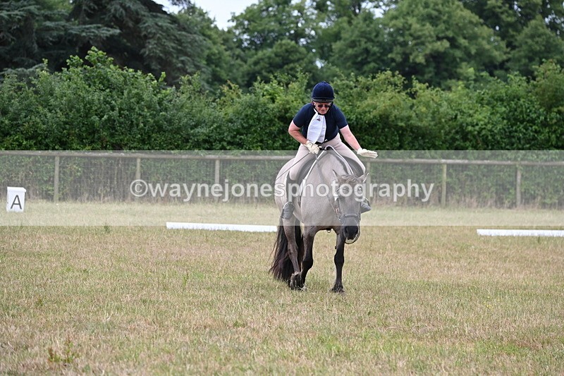 WJ6_1458 - Time 10:28 to 10:40