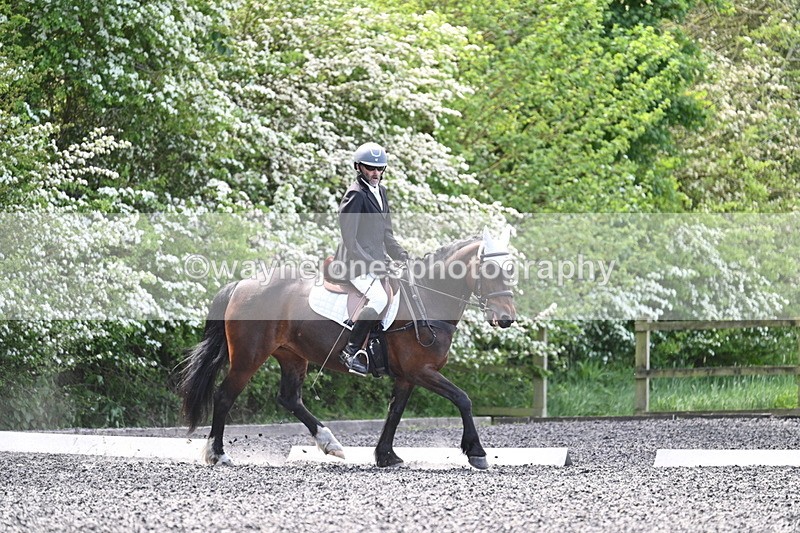 WJ7_8804 - Time 11:32 to 11:54