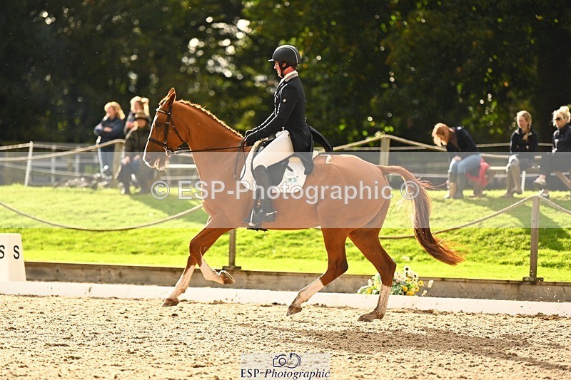 231021-153434-21155 - 362-GLOBAL.AMARETTO-Charlotte.Agnew-DR