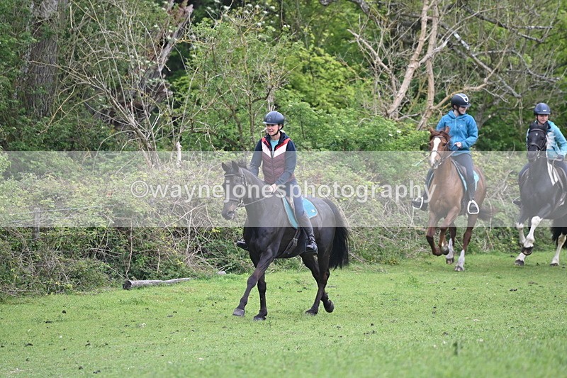 WJ6_2926 - A Camera
