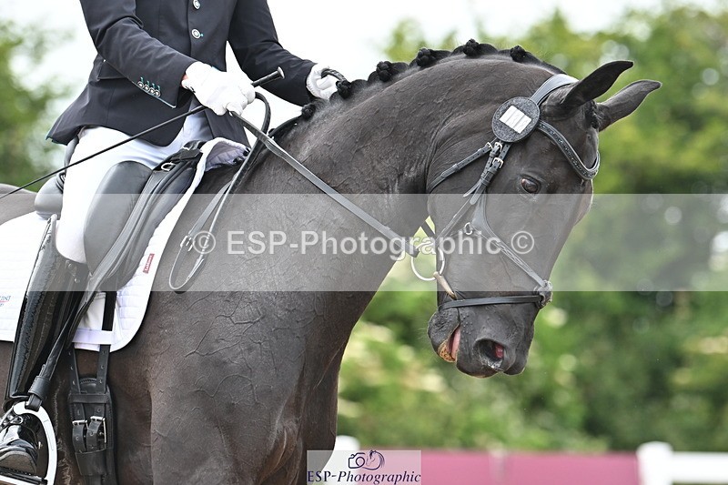 240621A-165135-05840 - Cls 14 BD Adv Medium 98