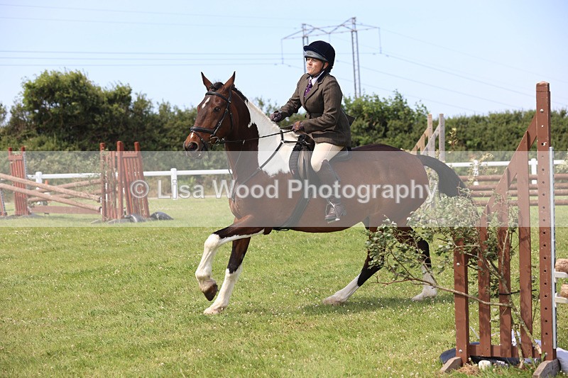 JPP_3634 - Class 23: Working Hunter 80cm