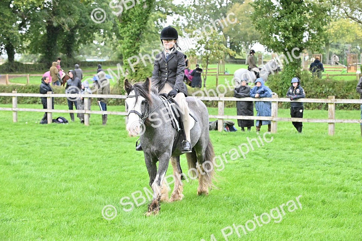 SBM_42982 - S12 - Family Horse & Pony