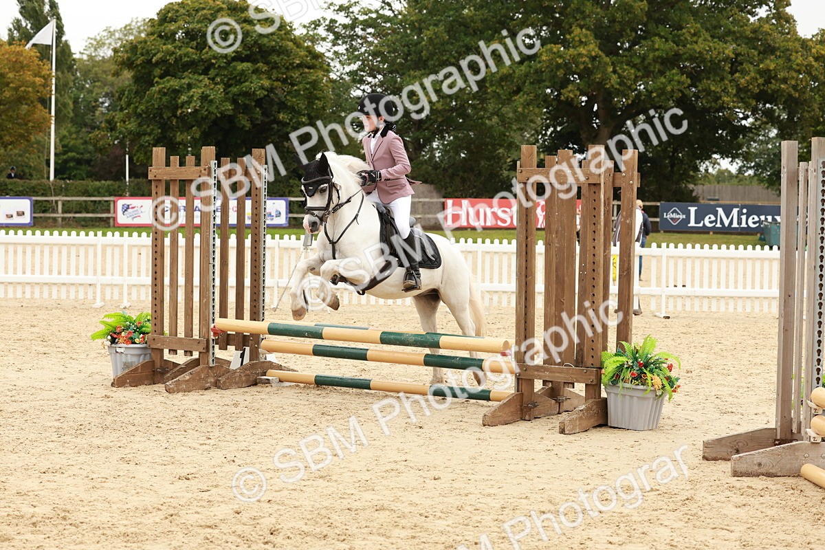 SBM_65225 - Supreme Championship 50cm & 55cm