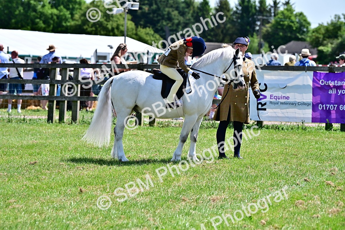 SBM_05890 - Class 59-60 - TSR M&M  Lear Rein and First Ridden Amateur of the year