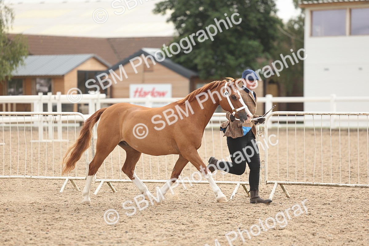 SBM_03176 - Class 16 - IH M&M Wildcard