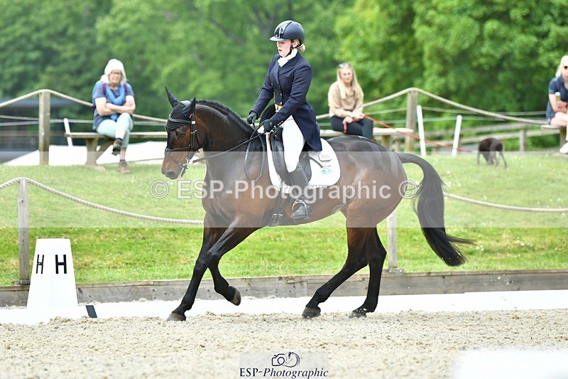 230525-124338-04256 - 209-MONBEG_EBONY-Molly_Fletcher-WEDTrotUp+DR