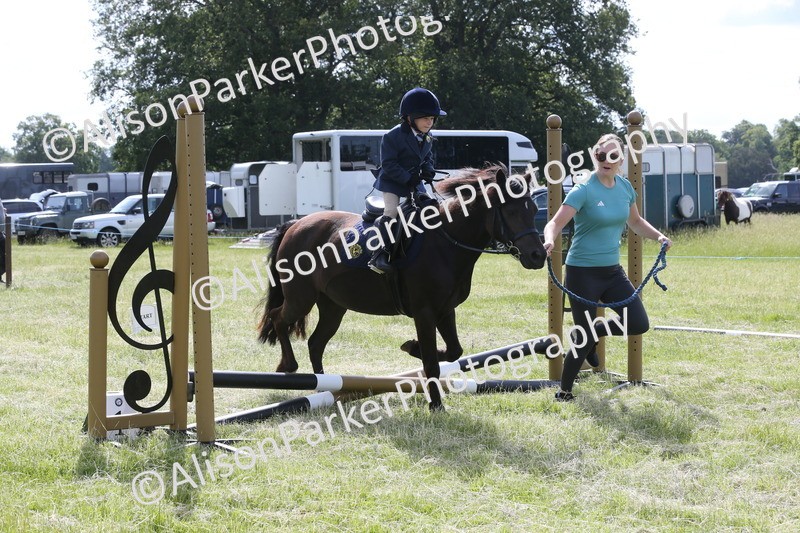 20260614-0081 - Class 1 - 30cm Lead Rein