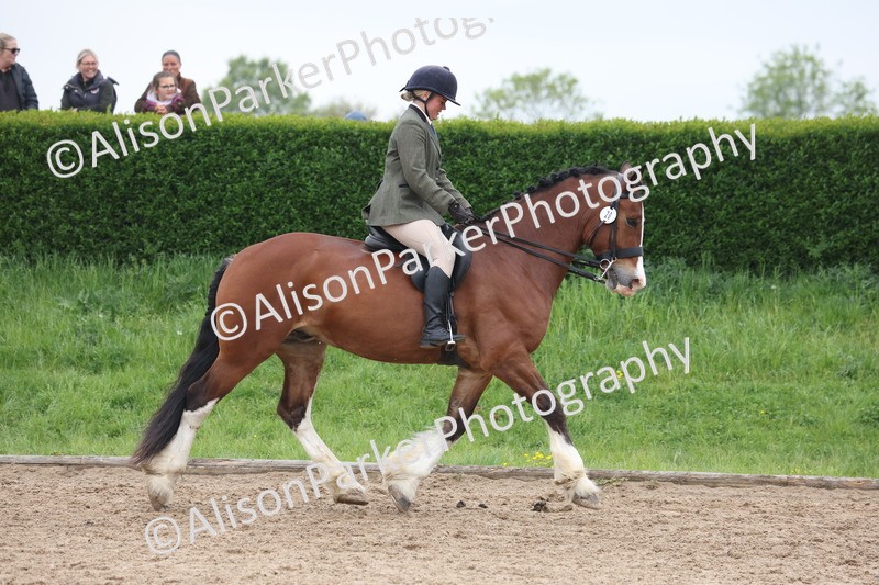 20260504-1090 - Class 14 - Cob and Hunter