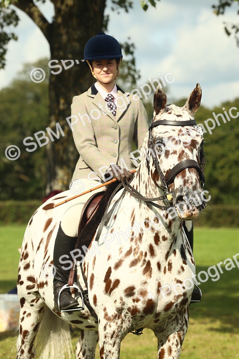 SBM_62518 - S62 - Foreign Breeds Ridden