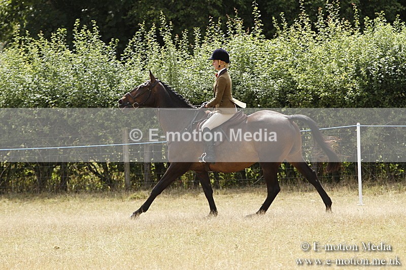 _BS_0962 - BVRC Show 2018 Ring 3