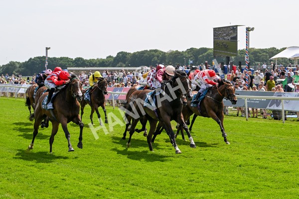 130625-Race 3-Easy Peeler-9023 - Race 3 3.00pm British EBF Supporting Racing With Pride Fillies' Handicap