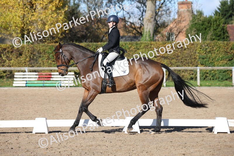 20251102-0891 - Class 5 - Elementary 5