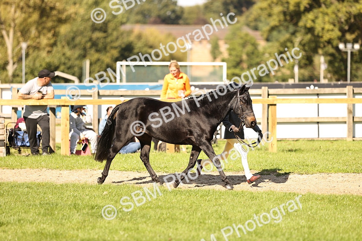 SBM_26152 - S5 - Novice & Newcomers In Hand