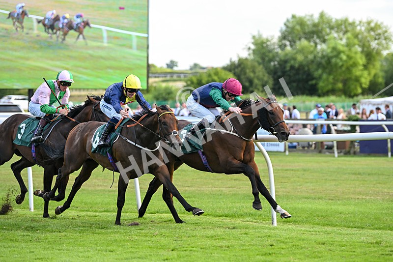 160725-Race 5-Chuti Manika-9296 - Race 5