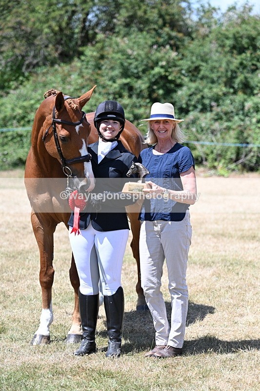 WJ7_2515 - Most Handsome Gelding Champs