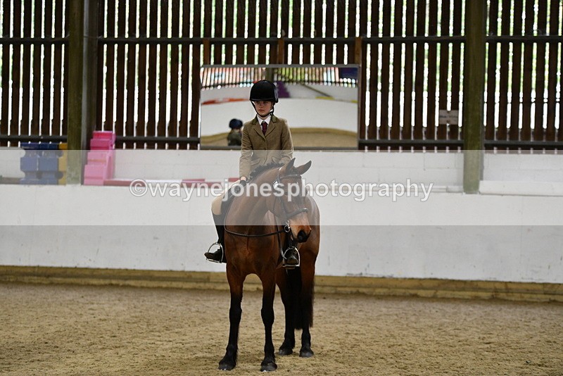 WJ5_7351 - Class 11 Ridden PC - RC Pony